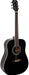 Aria Acoustic Guitar AD18 Black - Fair Deal Music