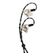 Stagg SPM-PRO TR In-Ear Stage Monitors - Transparent - Fair Deal Music