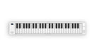 Carry On Piano 49-Key Foldable Piano, White - Fair Deal Music