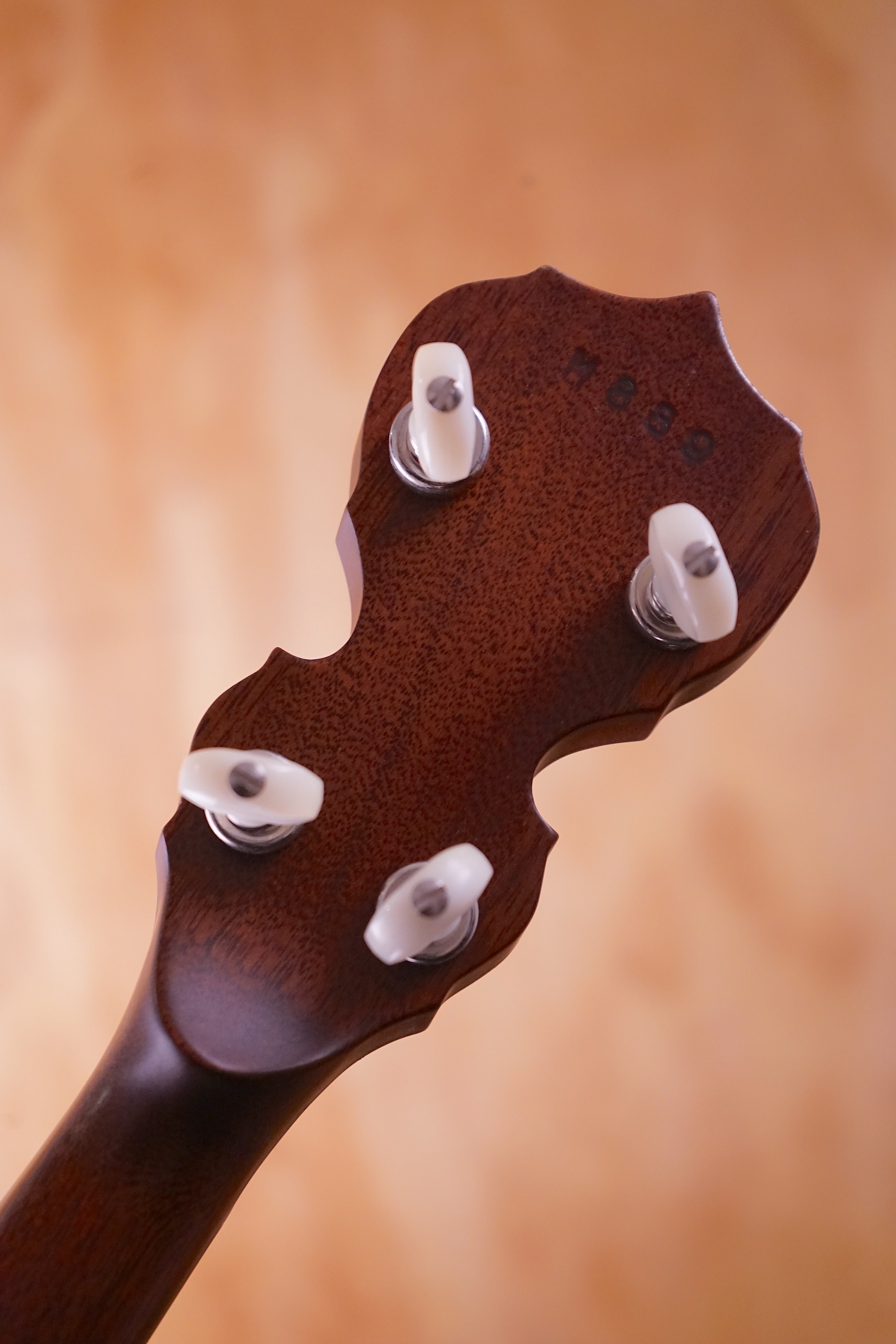 Deering Sierra Deluxe Mahogany banjo, (Used) - Fair Deal Music