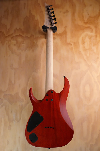 Ibanez RGA42FM with Tonerider Panama Pickups, (Used)