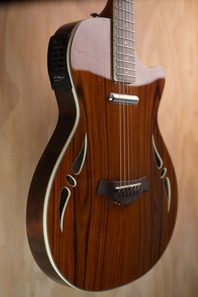 Crafter SA-ARW Hybrid Electro-Acoustic Guitar, (Used) - Fair Deal Music