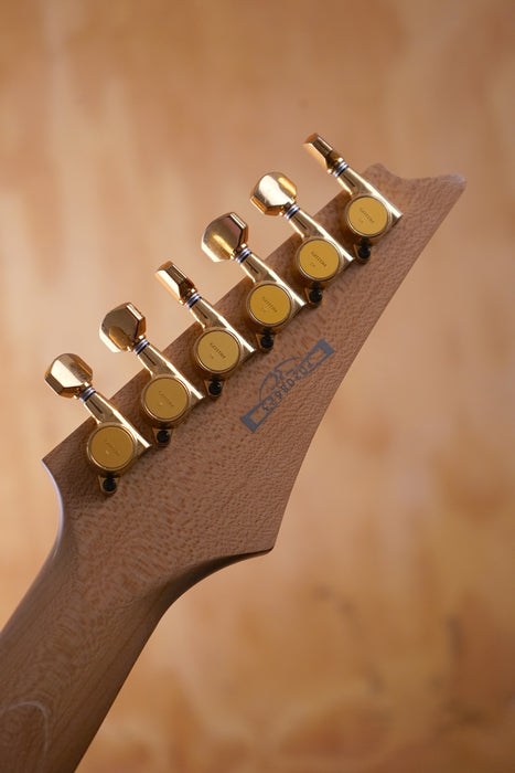 Ibanez PGM10TH Natural, (Used, Comm)