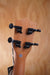 SQOE SQUK404 Concert Size Ukulele - Fair Deal Music