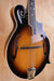 Ozark Professional F‑Style Mandolin 2255F, (Used) - Fair Deal Music