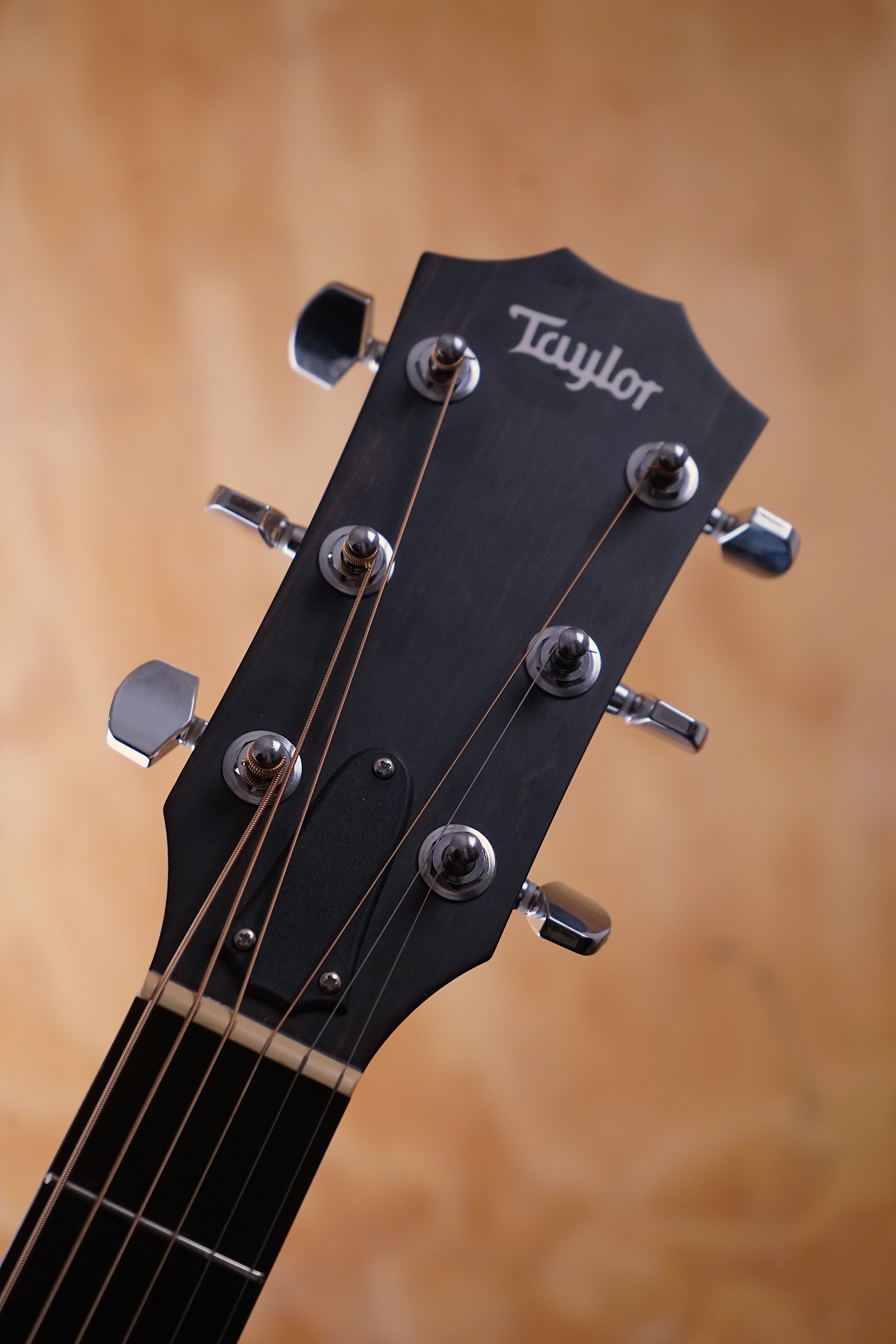 Taylor 214ce-FM DLX Electro-Acoustic Guitar with ES2 Pickup & Hard Case - Used - Fair Deal Music