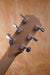 Taylor 214ce-FM DLX Electro-acoustic Guitar, (Used) - Fair Deal Music