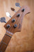 SQOE SPB600 Split-Coil Bass in Black - Fair Deal Music