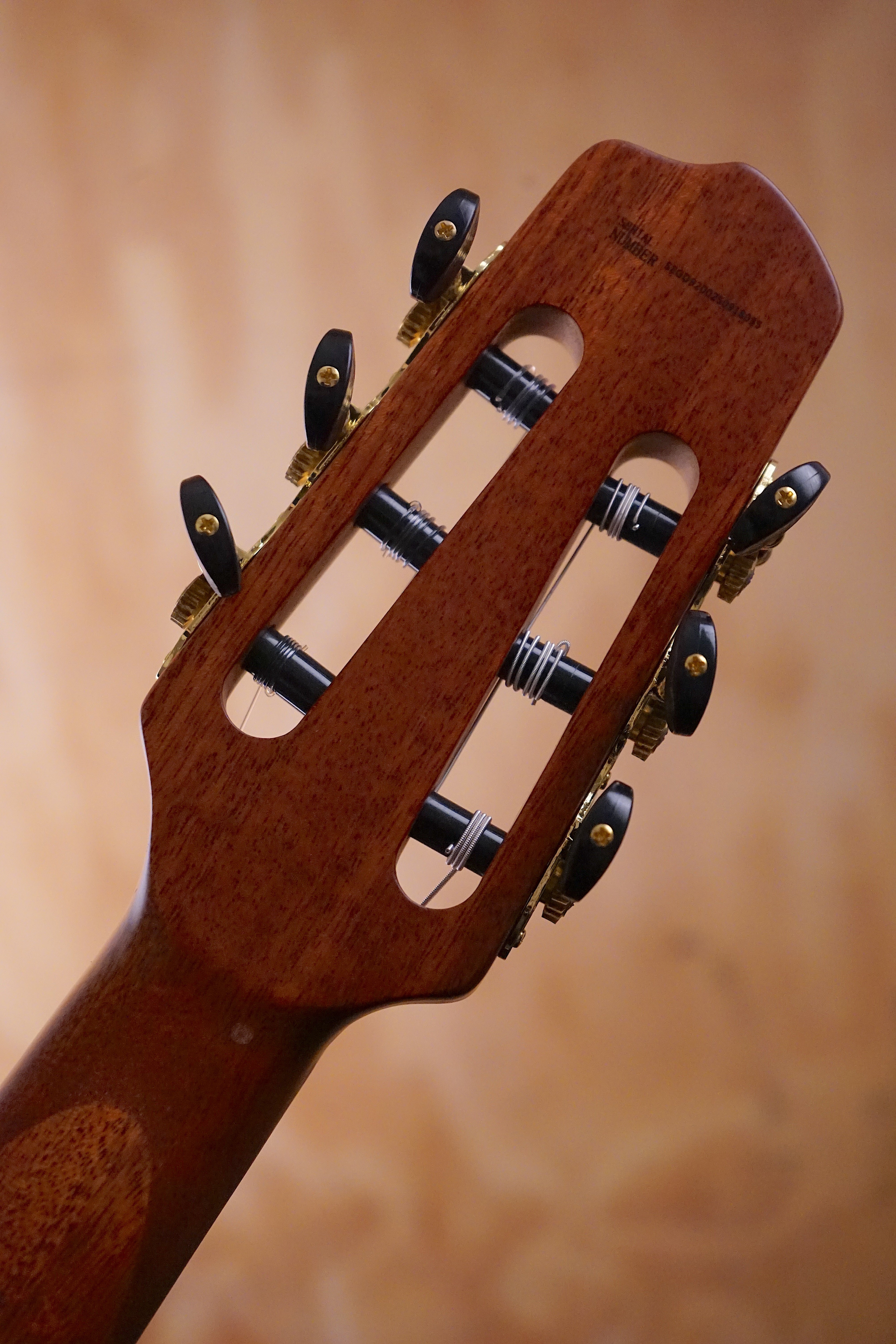 SQOE SEGD920 Silent Electro Classical Guitar Natural - Fair Deal Music
