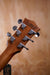SQOE SQ-41A Electro Acoustic Guitar Mahogany - Fair Deal Music