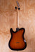 Fender Telecaster Telebration Sunburst HS, (Used) - Fair Deal Music