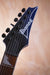 Ibanez RG421DX-TWS Twilight Shade, B-Stock, Electric Guitar - Fair Deal Music