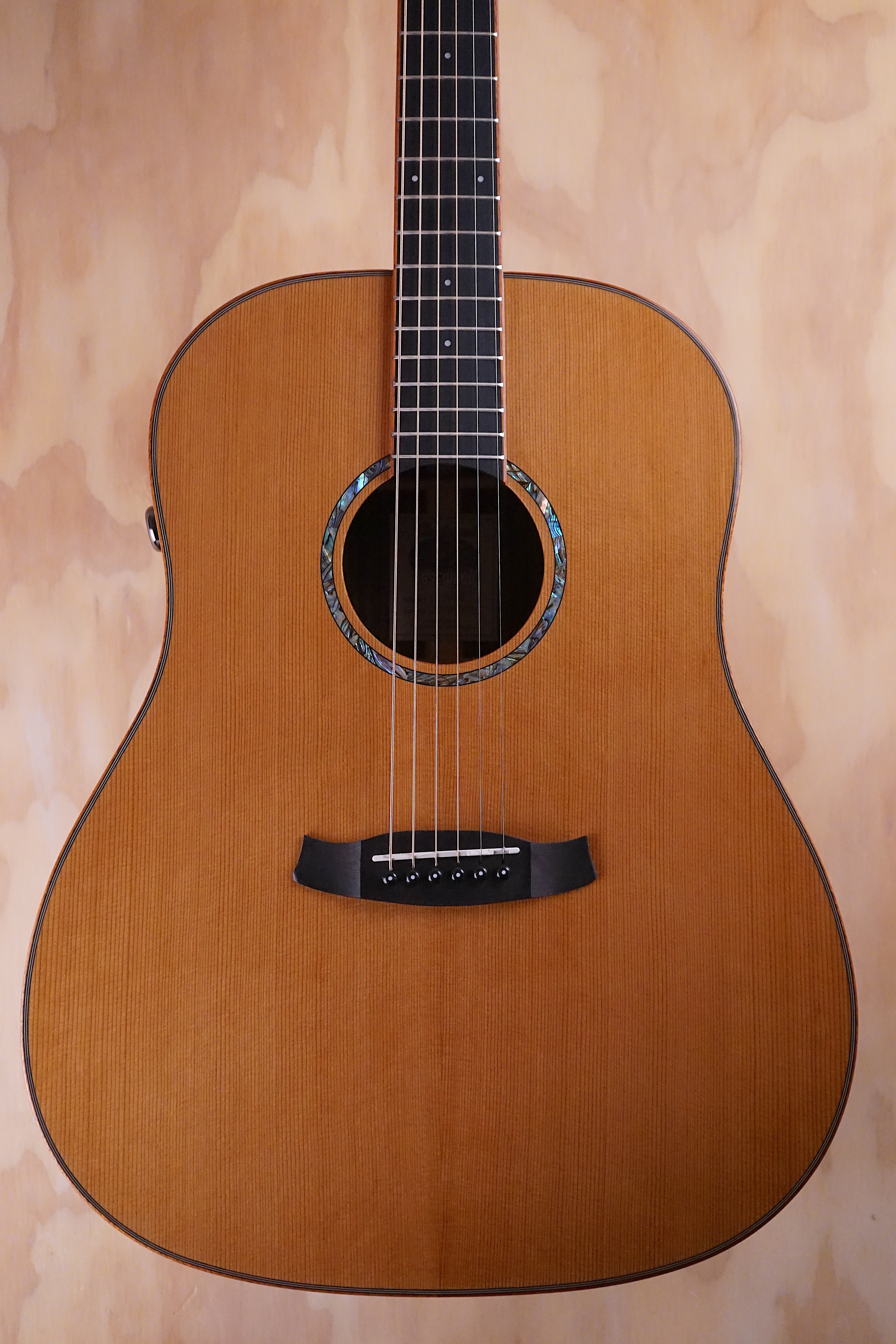 Tanglewood TRS5SE Smart Electro-acoustic Guitar, (Used) - Fair Deal Music
