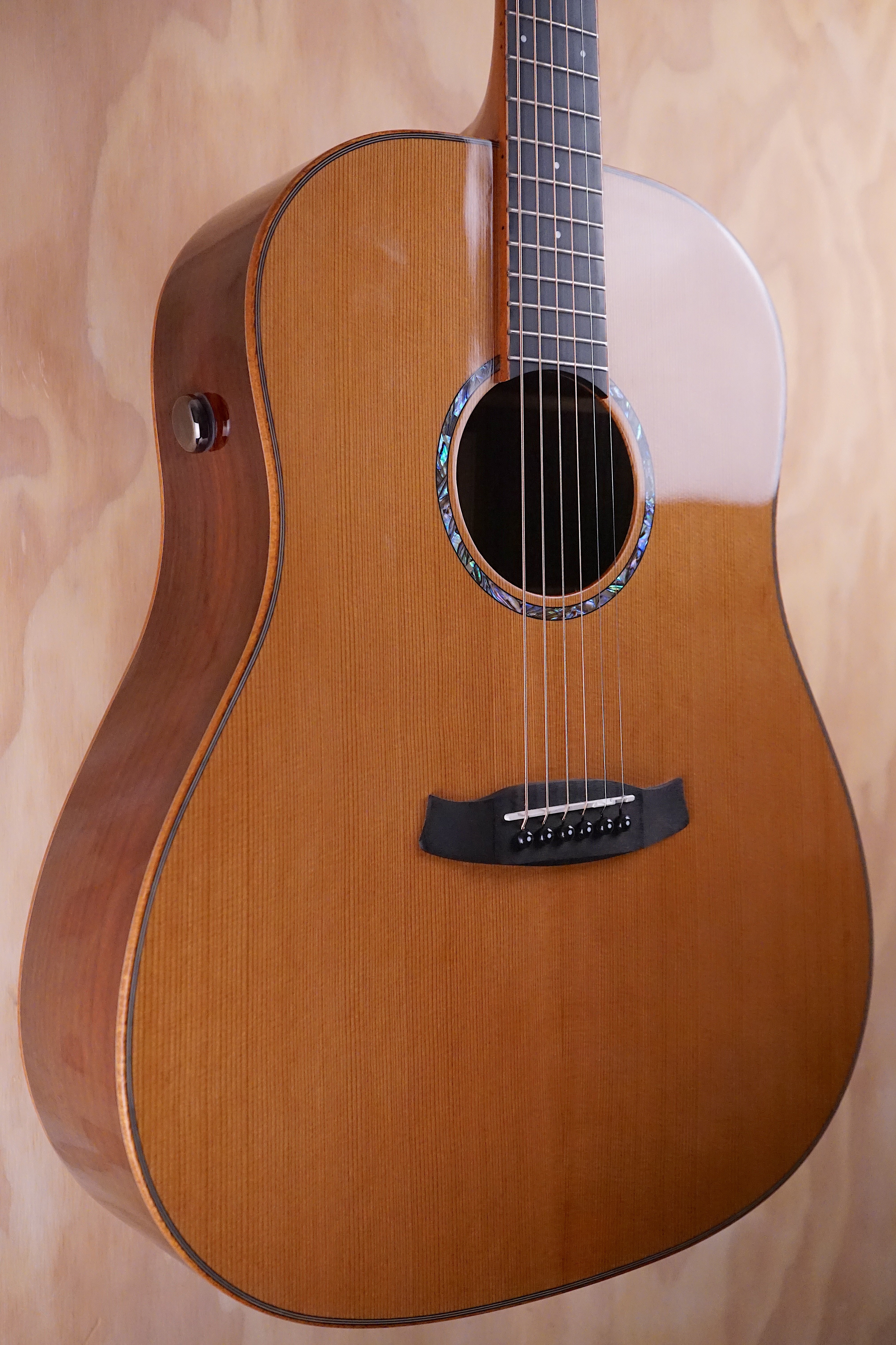 Tanglewood TRS5SE Smart Electro-acoustic Guitar, (Used) - Fair Deal Music