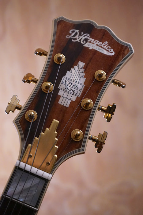 D’Angelico Excel Style B Throwback in Viola Hollowbody Guitar, (Used) - Fair Deal Music