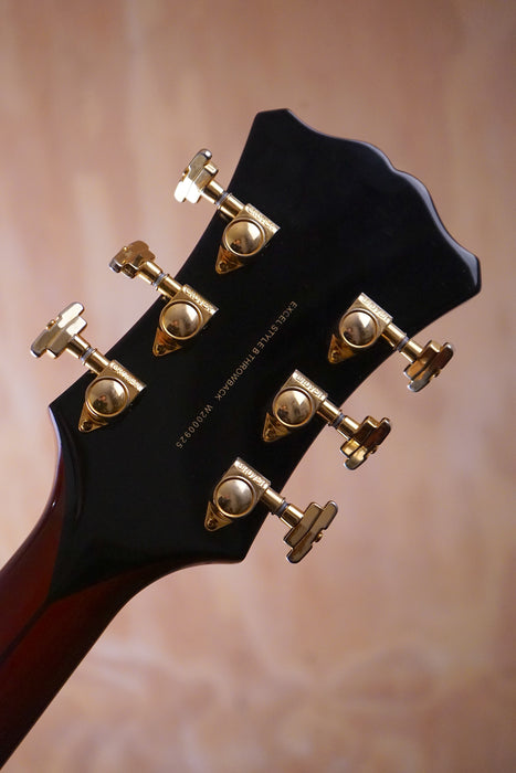 D’Angelico Excel Style B Throwback in Viola Hollowbody Guitar, (Used) - Fair Deal Music