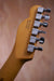Fender American Professional II Telecaster Roasted Pine Electric Guitar, (Used) - Fair Deal Music