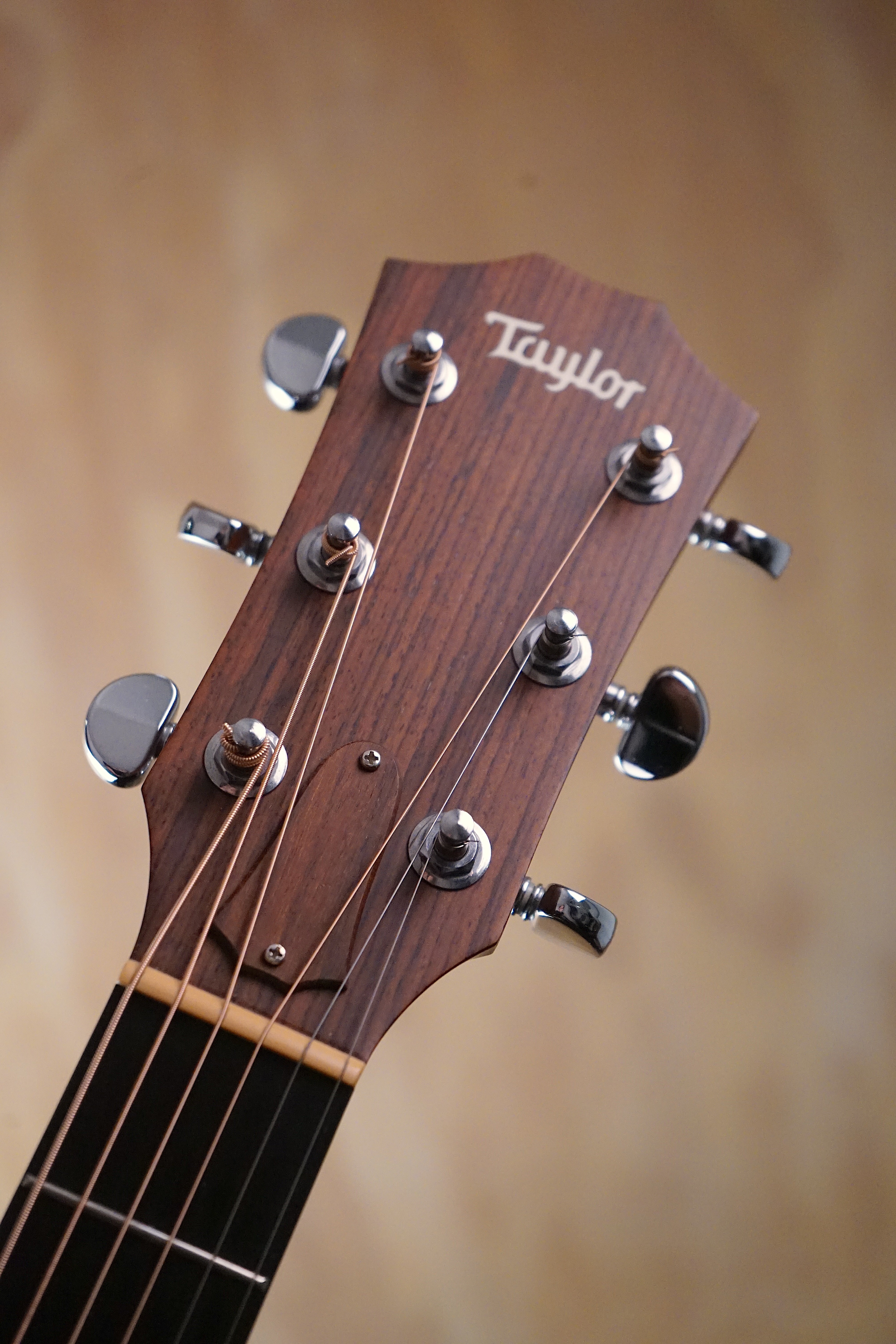 Taylor 310 Dreadnought Acoustic Guitar, (Used) - Fair Deal Music
