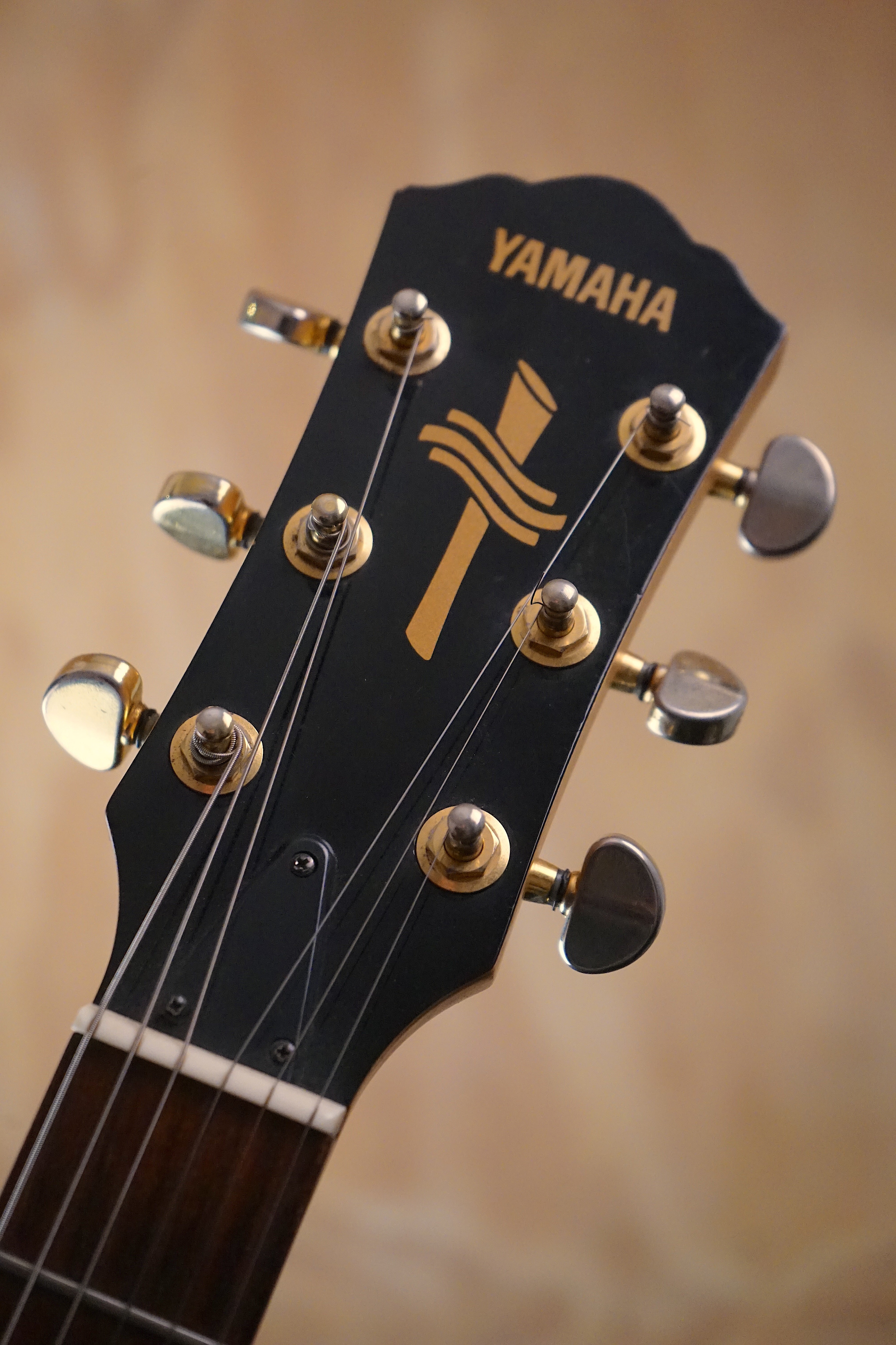 Yamaha AEX500 Semi-Hollow Electric Guitar, (Used) - Fair Deal Music