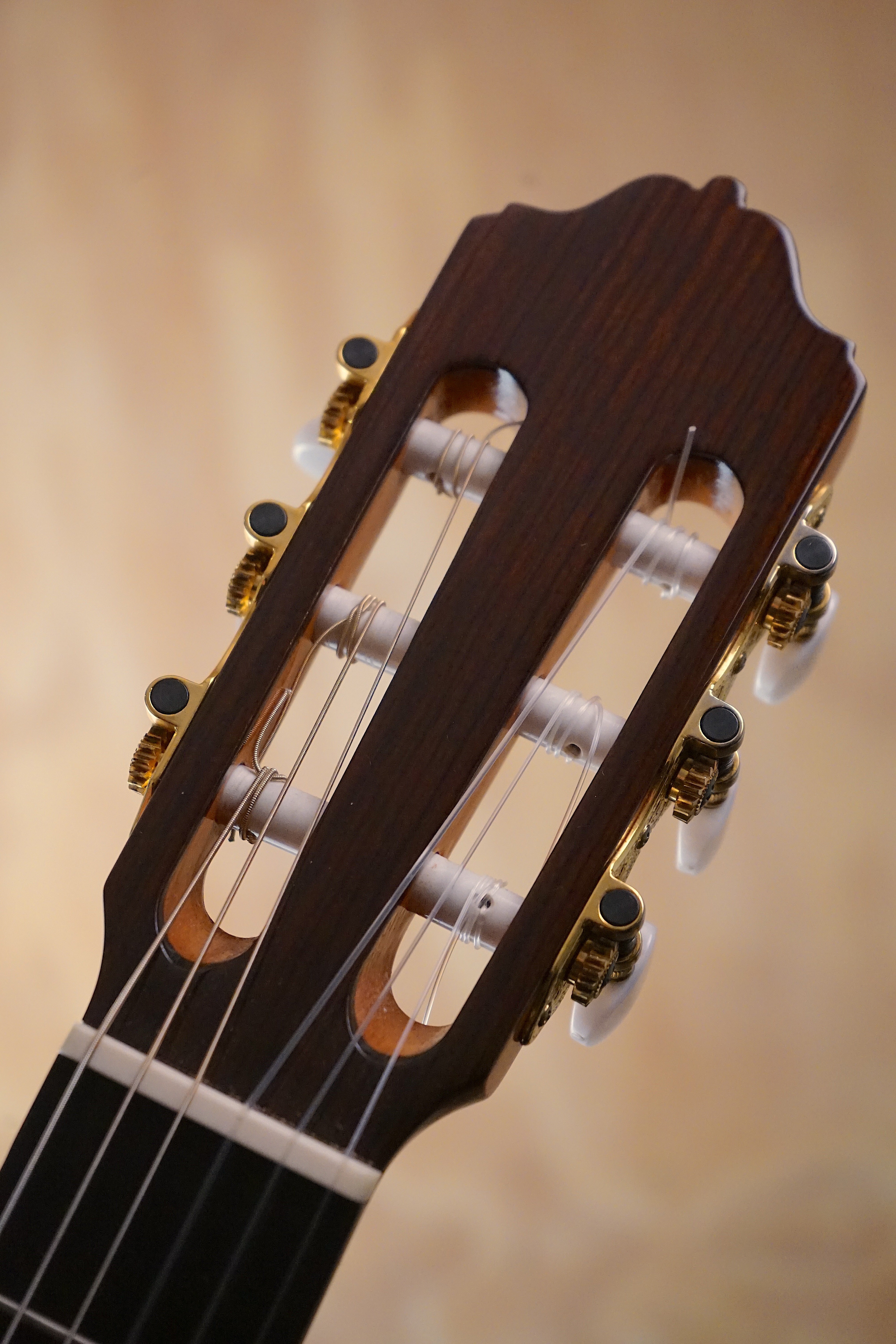 Esteve 7SR Classical Guitar, (Used) - Fair Deal Music