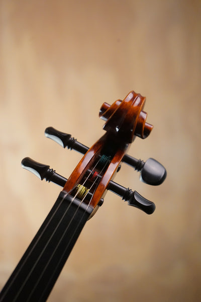 Vivaldi MPV700 Fullsize Violin Outfit (Used) - Fair Deal Music