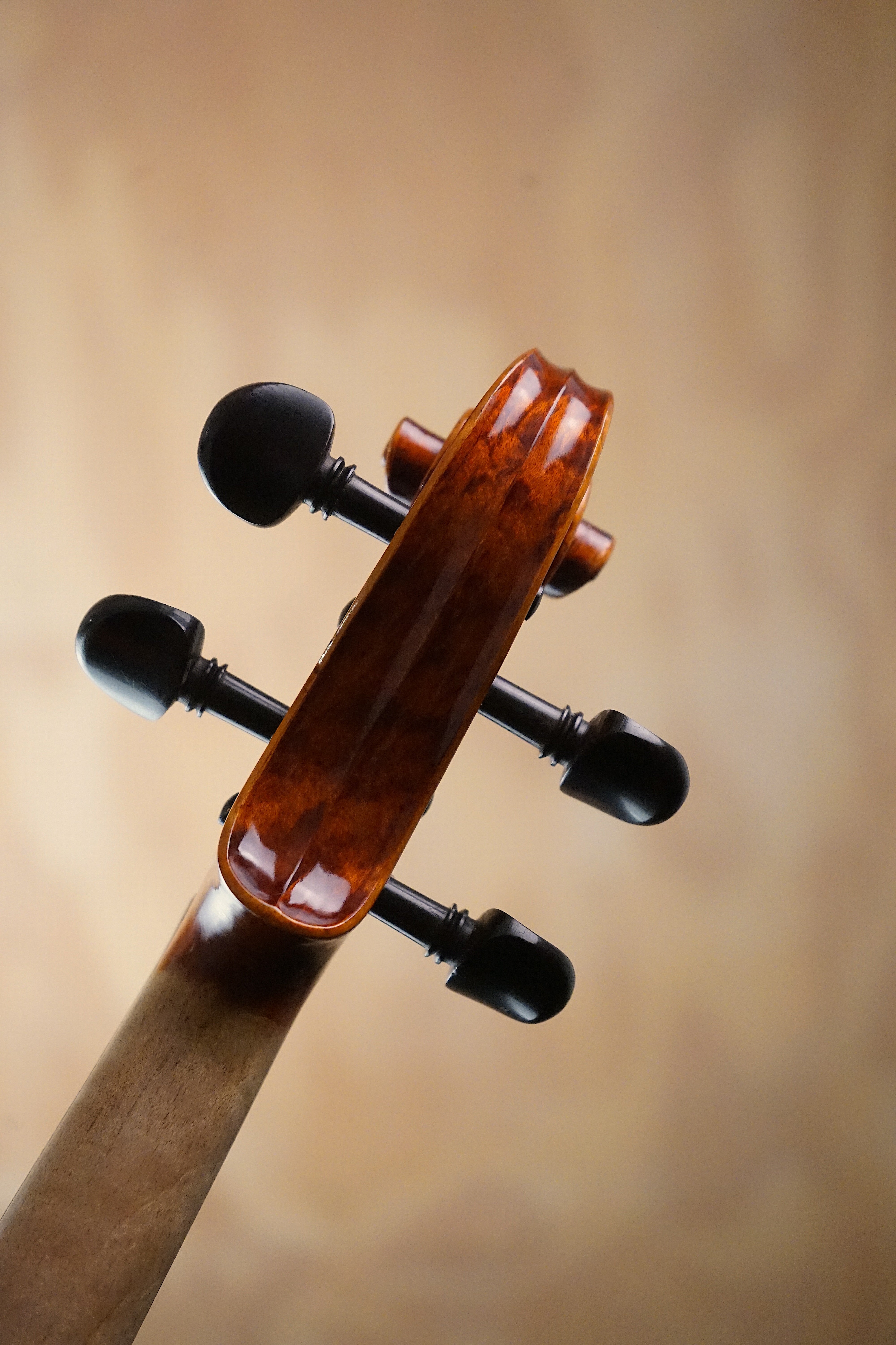 Vivaldi MPV700 Fullsize Violin Outfit (Used) - Fair Deal Music