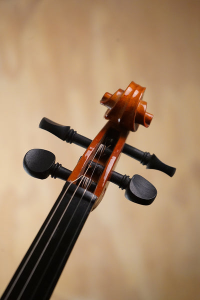 Antoni AXL31 3/4 Violin Outfit (Used) - Fair Deal Music