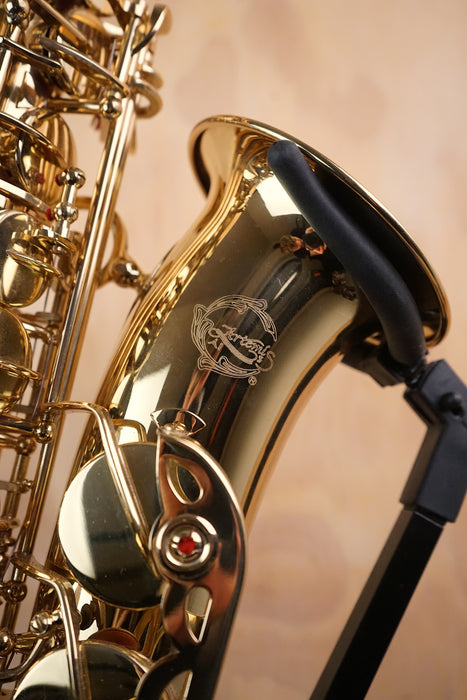 Used Artemis Alto Saxophone outfit - Fair Deal Music