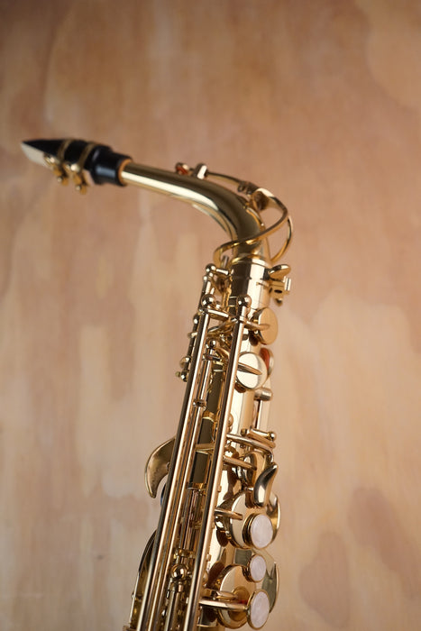 Used Artemis Alto Saxophone outfit - Fair Deal Music