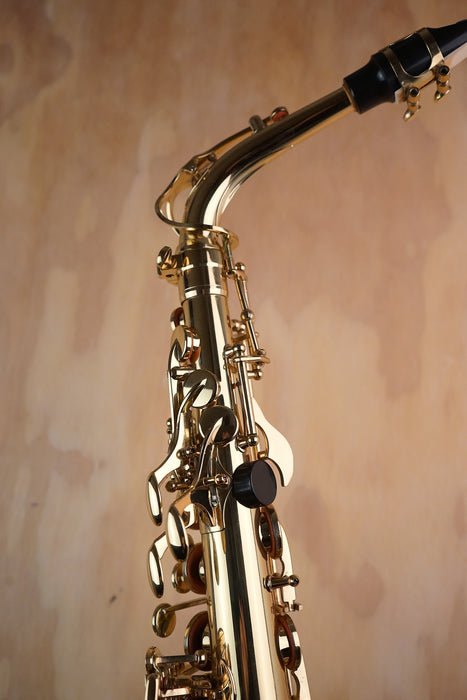 Used Artemis Alto Saxophone outfit - Fair Deal Music