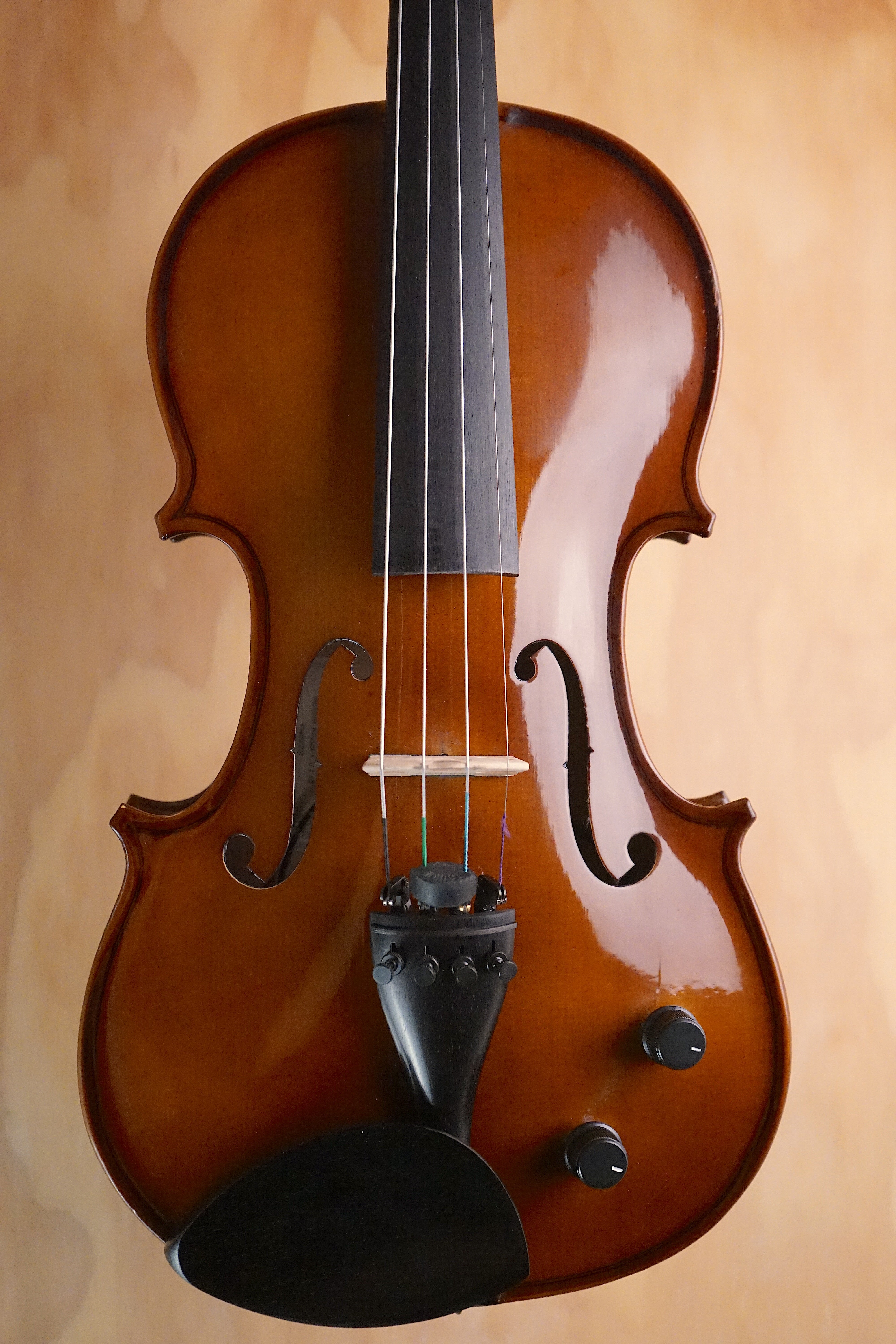 Stentor II 1515A Electric Violin Outfit (Used) - Fair Deal Music
