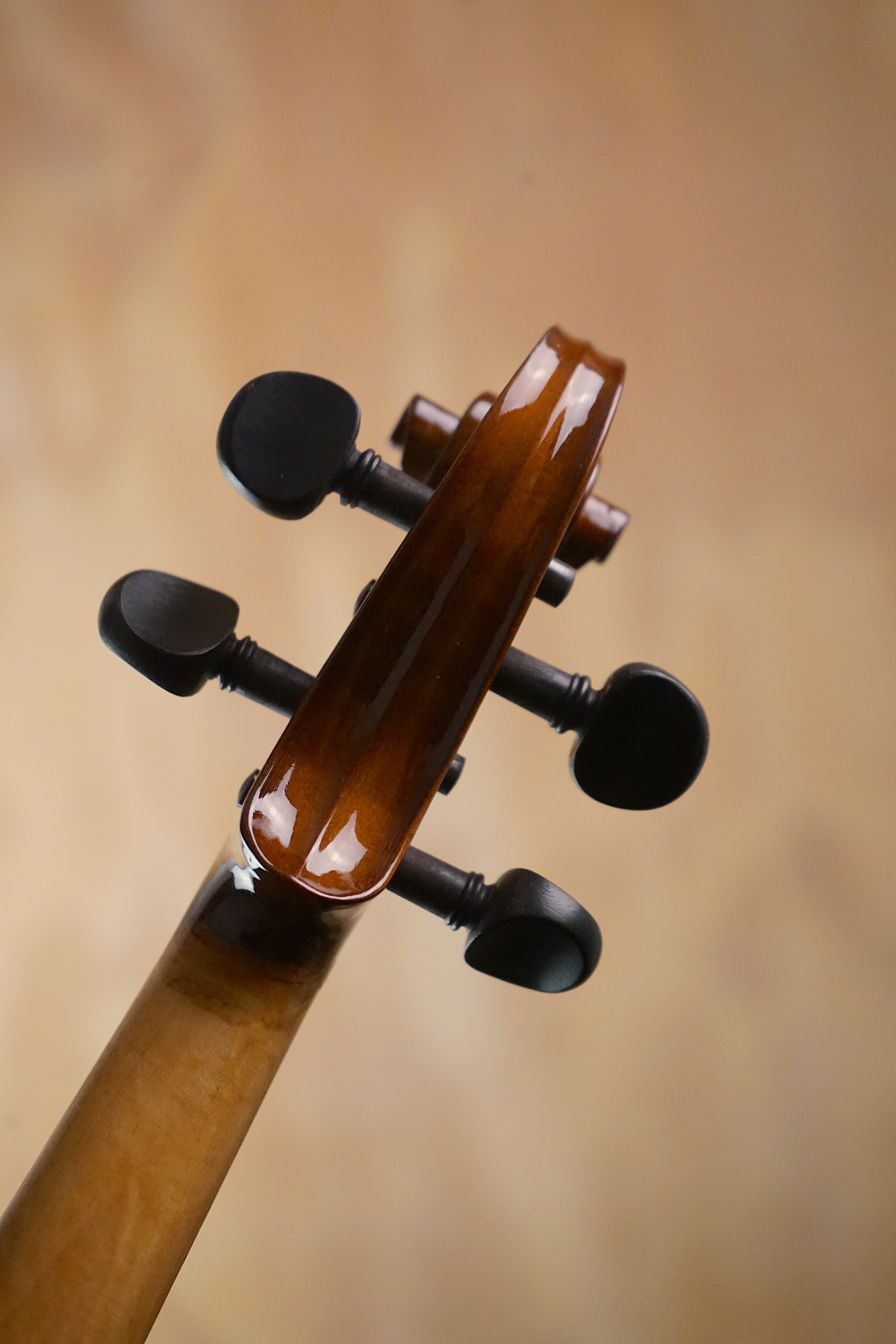 Stentor II 1515A Electric Violin Outfit (Used) - Fair Deal Music