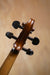 Used Stentor 2 1515A Electric Violin Outfit - Fair Deal Music