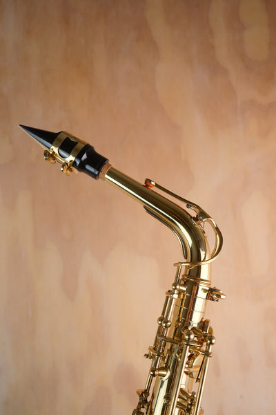 Roy Benson AS-202 Alto Saxophone (Used) - Fair Deal Music