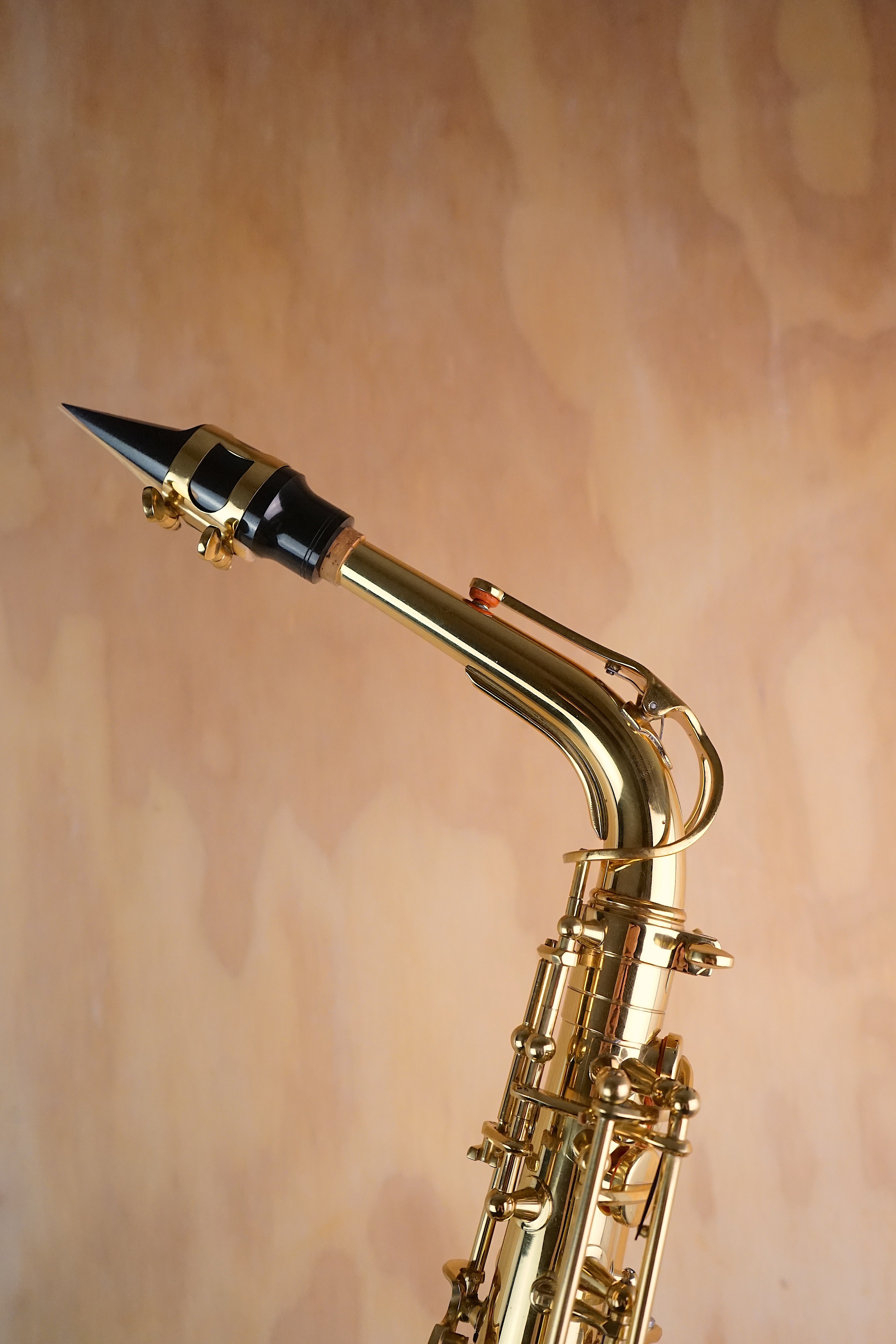 Roy Benson AS-202 Alto Saxophone (Used) - Fair Deal Music