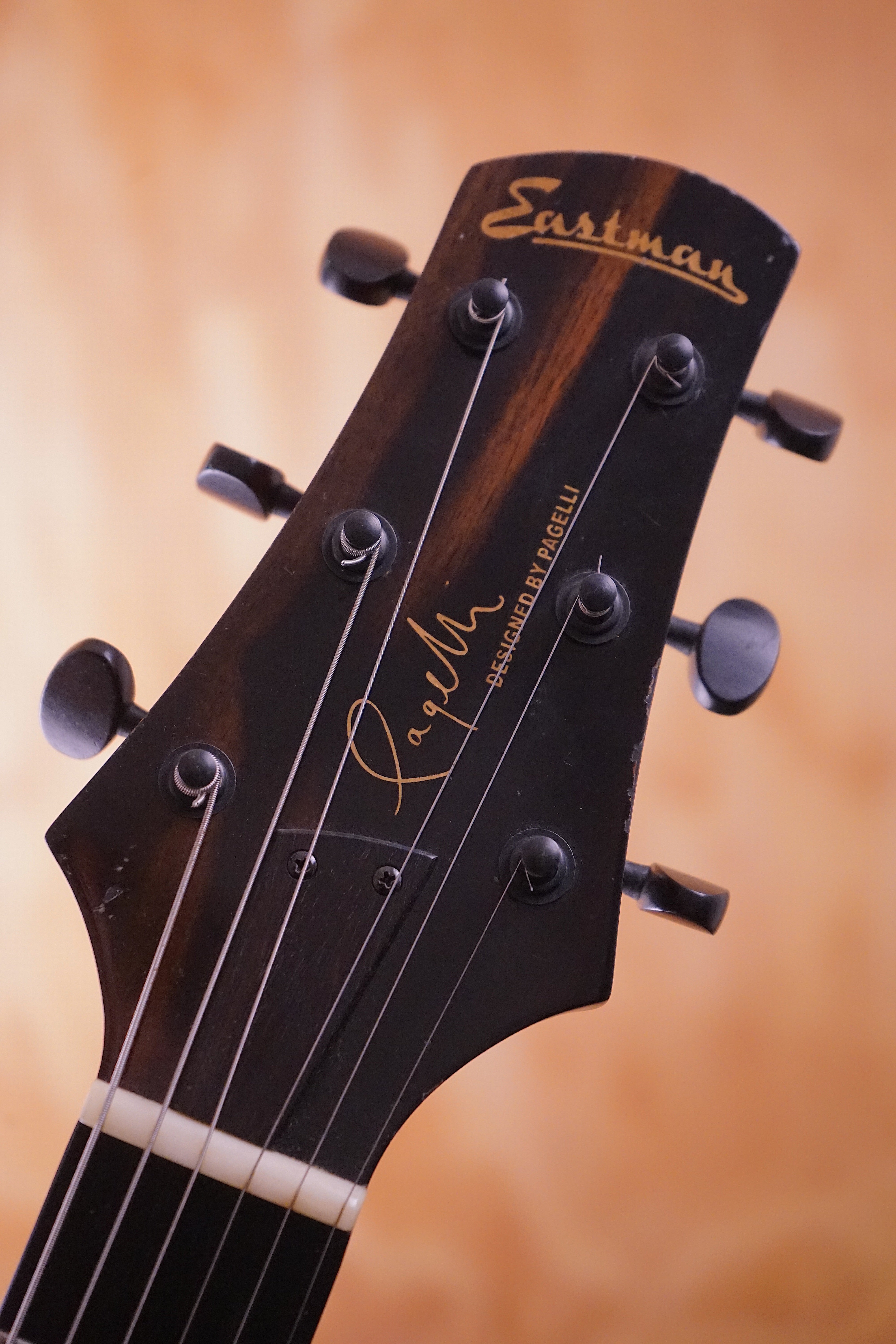 Eastman PG1, (Used) - Fair Deal Music