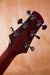 Eastman PG1, (Used) - Fair Deal Music