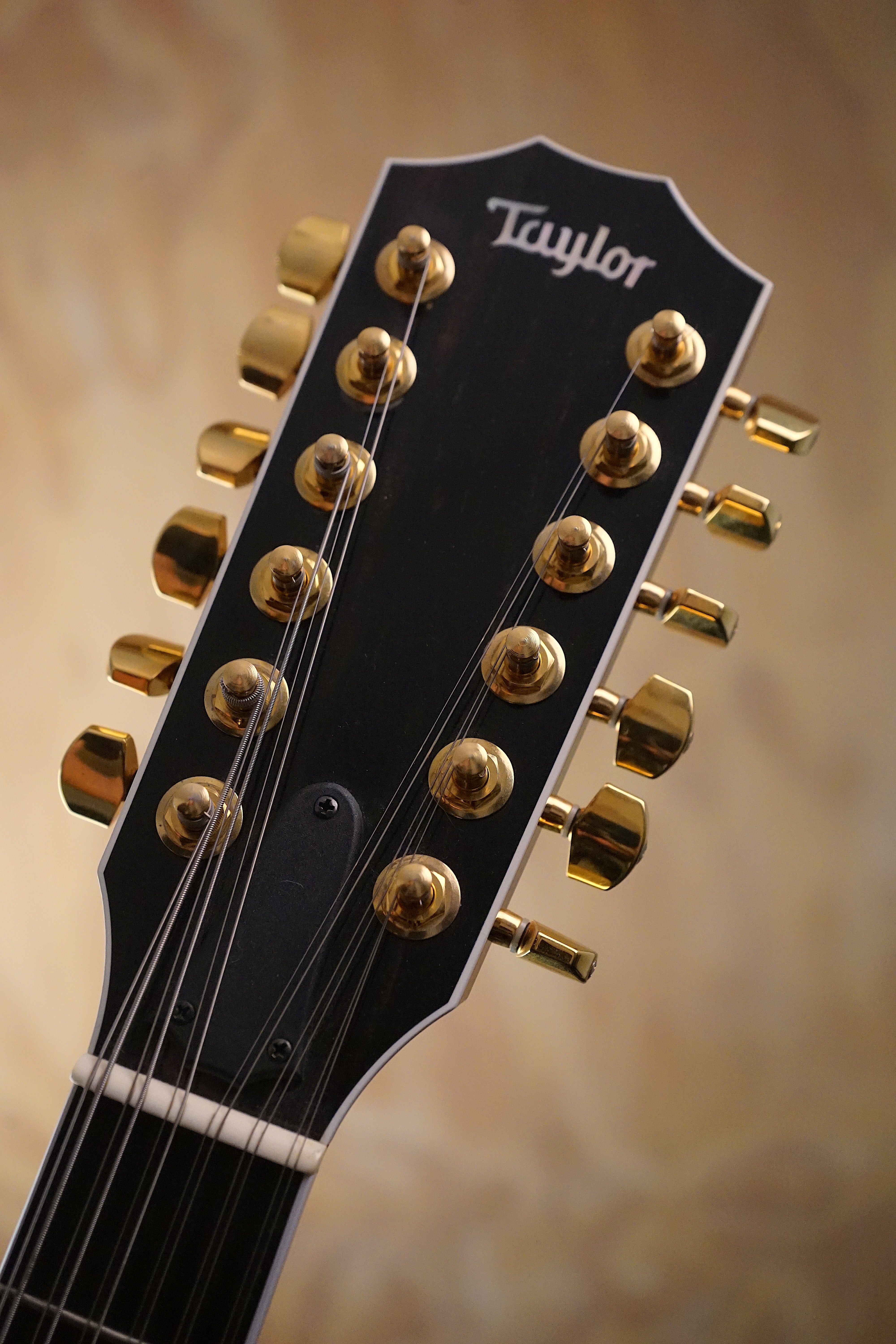 2007 Taylor T5-C2 12-String Koa, (Used, Comm) - Fair Deal Music