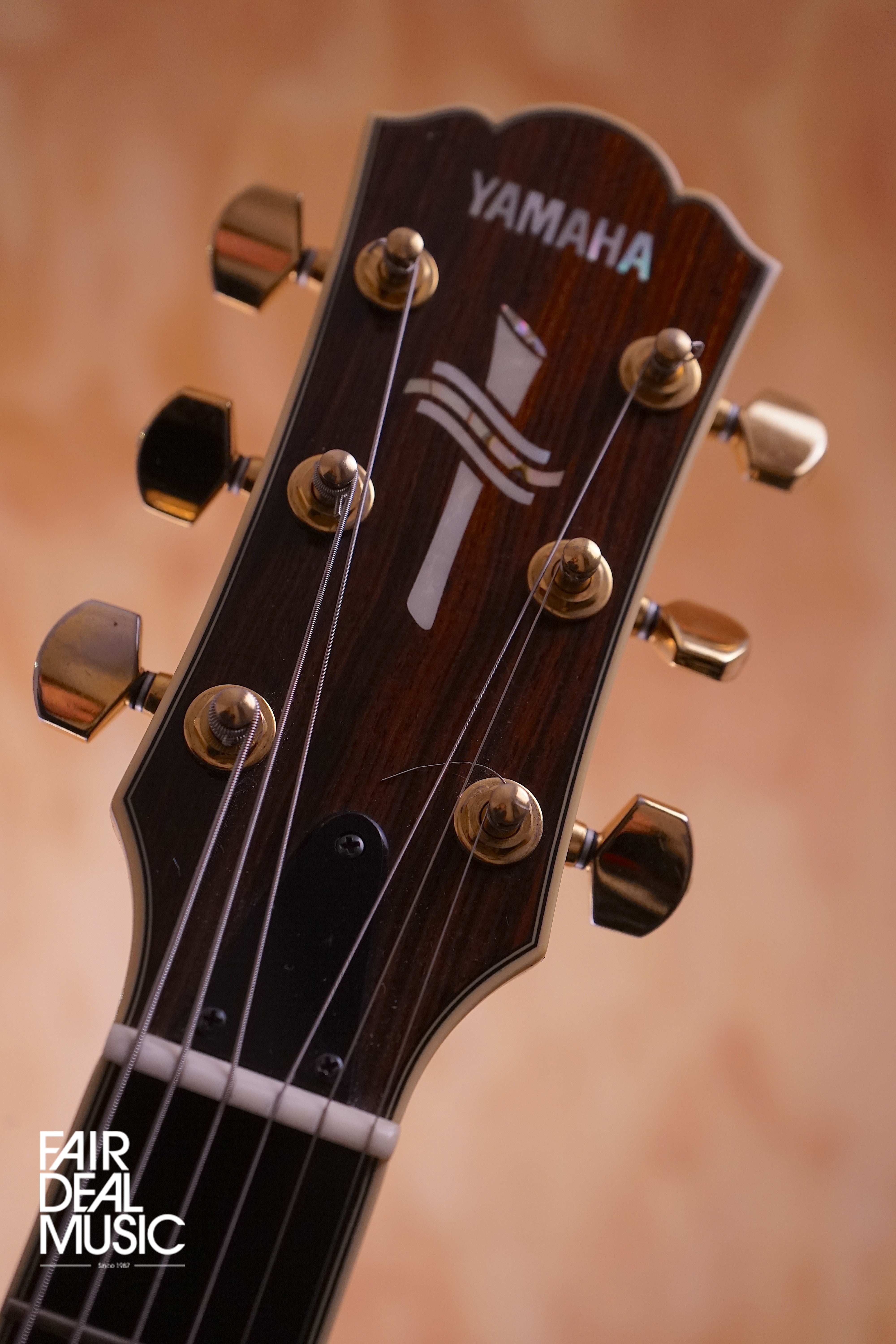 Yamaha AEX1500 Signed by Martin Taylor, (Used) - Fair Deal Music