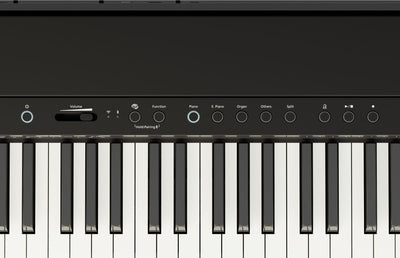 Roland FP-40 Portable Digital Piano in Black (Display Model) - Fair Deal Music