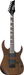 Ibanez GRG121DX-WNF Walnut Flat - Fair Deal Music