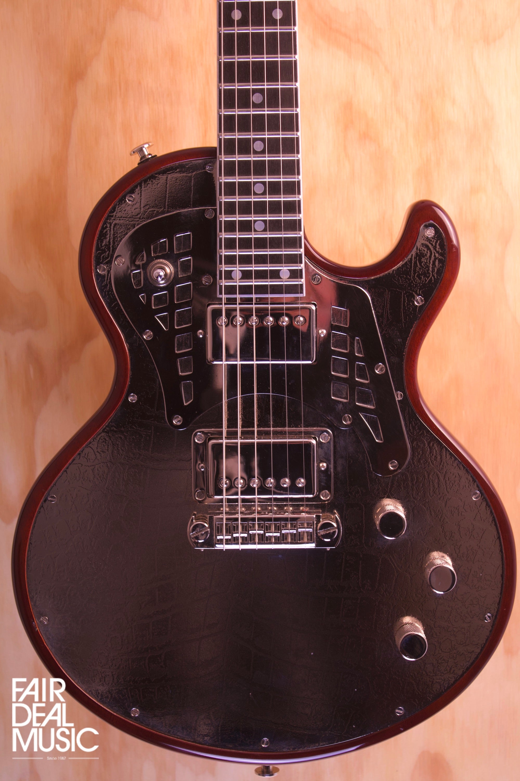 James Trussart SteelTop, (Used) - Fair Deal Music
