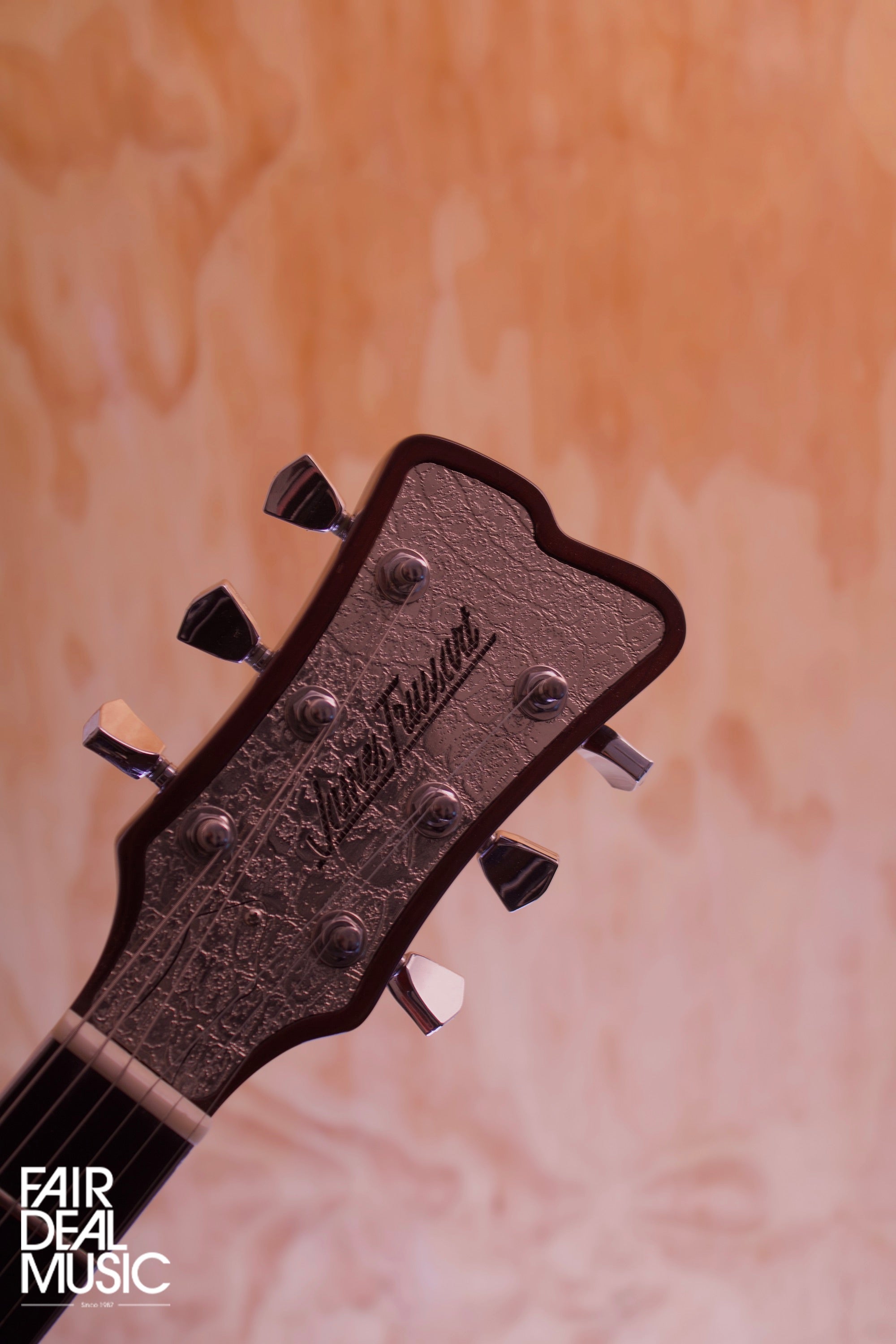 James Trussart SteelTop, (Used) - Fair Deal Music