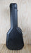Freestyle Acoustic Guitar Hard Case, USED - Fair Deal Music