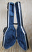 Freestyle Acoustic Guitar Hard Case, USED - Fair Deal Music
