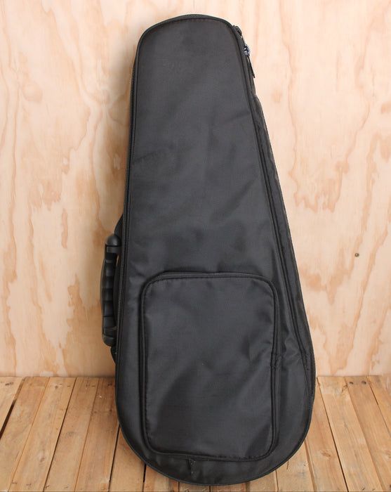 Mandolin Rigid Soft Case USED - Fair Deal Music