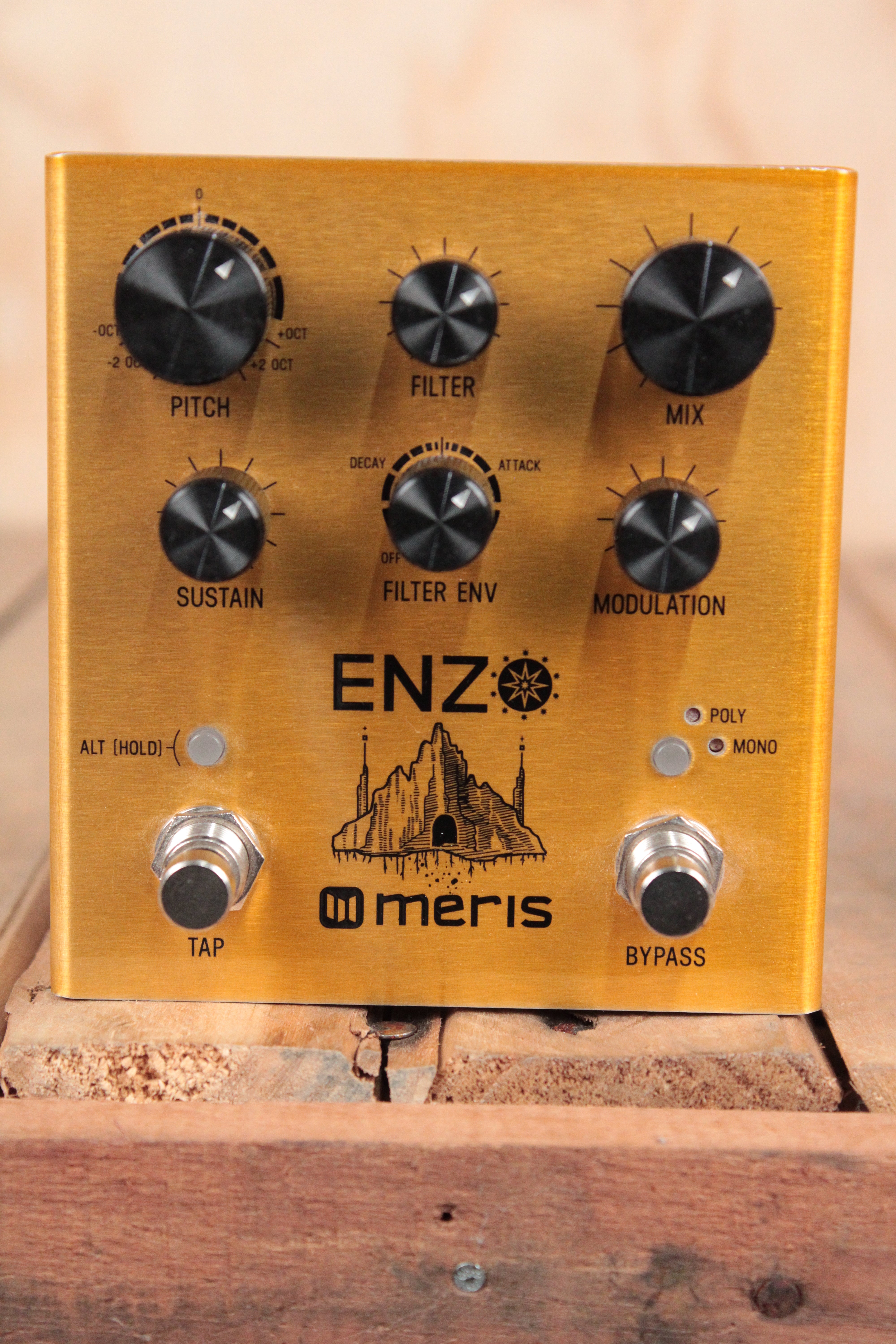 Meris "Enzo" - Synthesizer Guitar Effects Pedal (Used) - Fair Deal Music