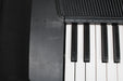Casio CTK-120 Electronic Keyboard 49 Full Size Keys (Used) - No Adaptor - Fair Deal Music