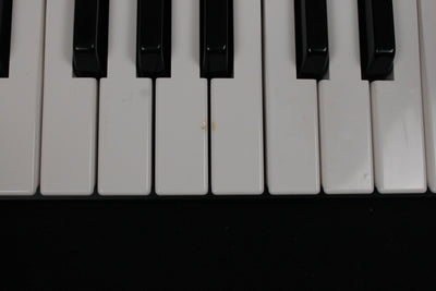 Casio CTK-120 Electronic Keyboard 49 Full Size Keys (Used) - No Adaptor - Fair Deal Music