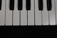 Casio CTK-120 Electronic Keyboard 49 Full Size Keys (Used) - No Adaptor - Fair Deal Music